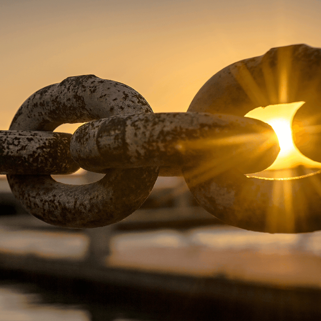 Se affärsmodellen som en del av ett ekosystem