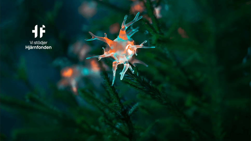 När hjärta och hjärna möts uppstår verklig förändring