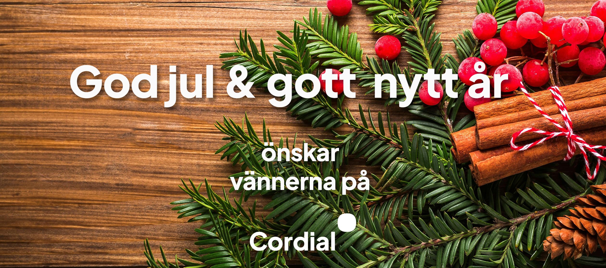 God jul och gott nytt år!